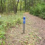Camping Site 6