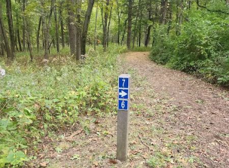 Camping Site 6