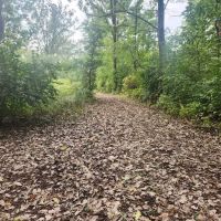 Camping Site 5 ico