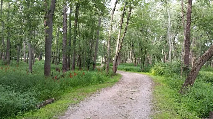 Lake Alexander Campground Picture 7
