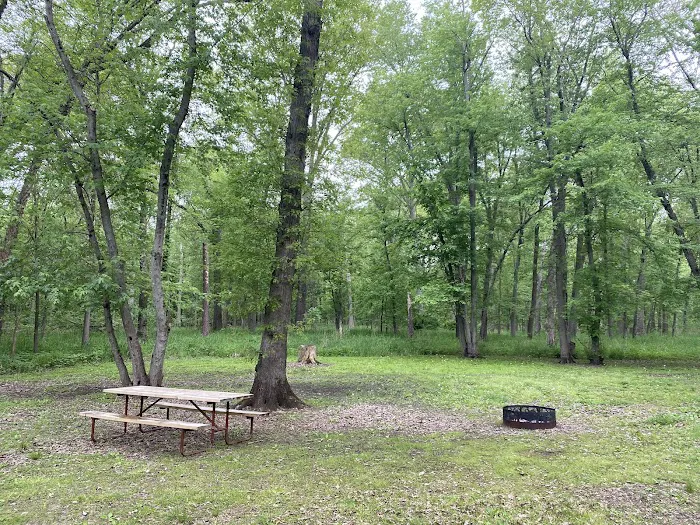 Lake Alexander Campground Picture 9