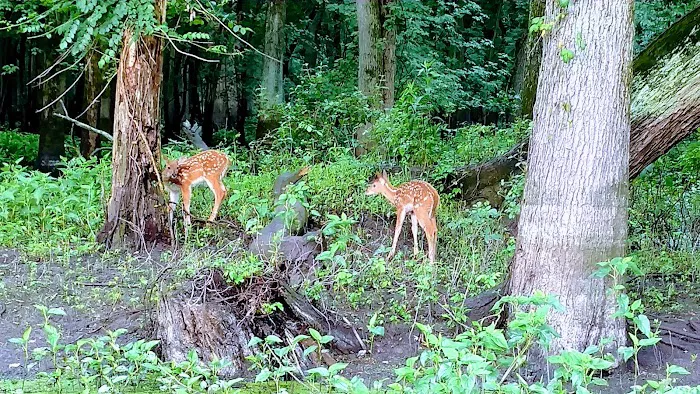 Southern Lake County Conservation Club Picture 3