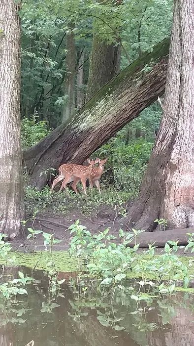 Southern Lake County Conservation Club Picture 5