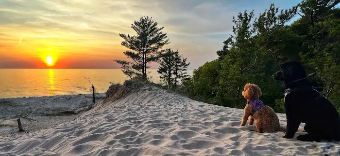 Lake Michigan Family Campground | Fairway to Heaven Disc Golf Course Picture 5