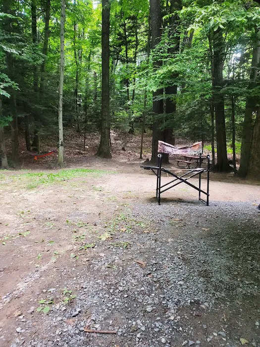 Mason County Campground Picture 2