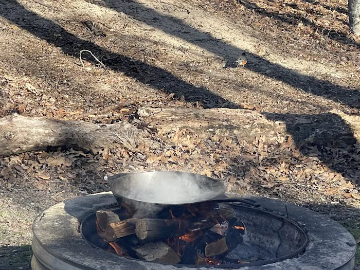 Pines Campground Picture 2