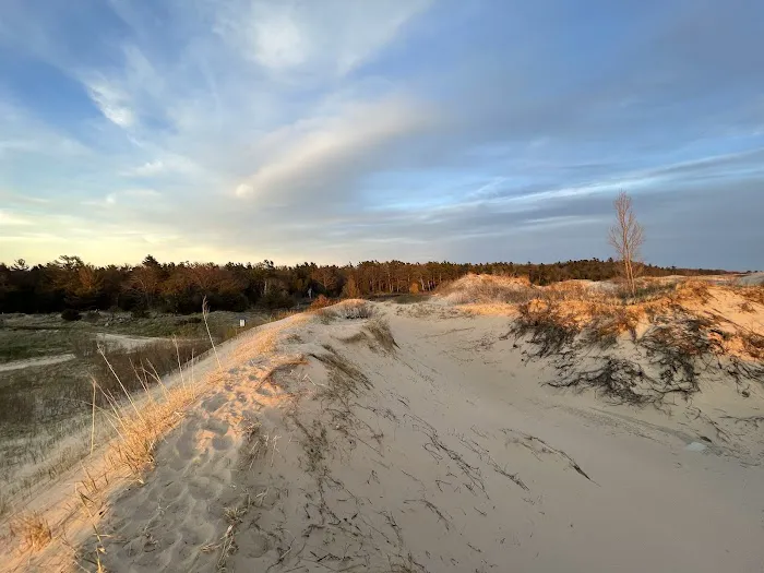Pines Campground Picture 7