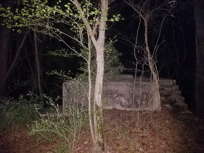 Campgrounds for Dawsonville Forest WMA Picture 8