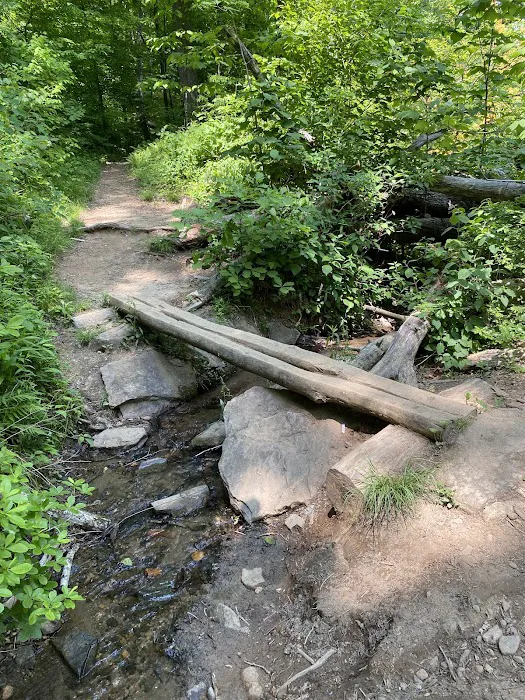 Lance Creek Campsite Picture 2