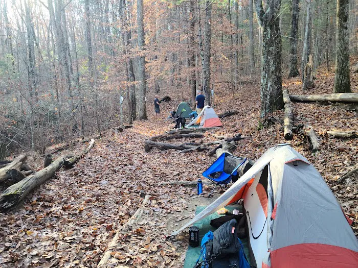 Lance Creek Campsite Picture 4
