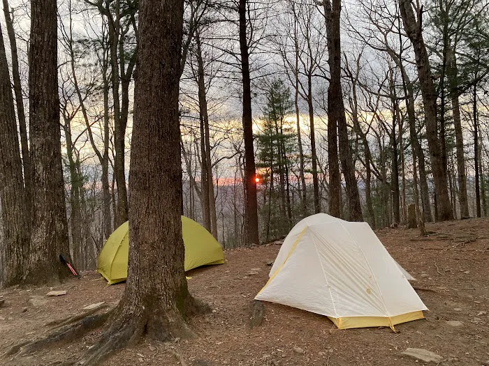 Woods Hole Shelter Picture 3