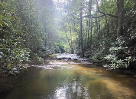 Wildcat Campground