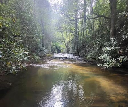 Wildcat Campground