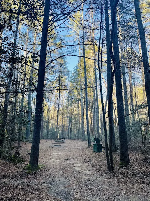 Wildcat Campground Picture 5