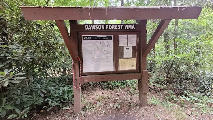 Wildcat Campground Picture 9