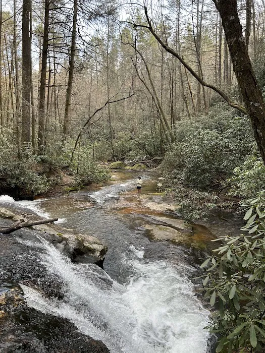 Jones Creek Campground Picture 1