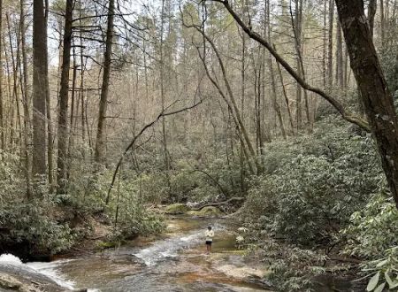 Jones Creek Campground