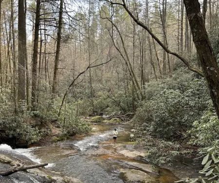Jones Creek Campground