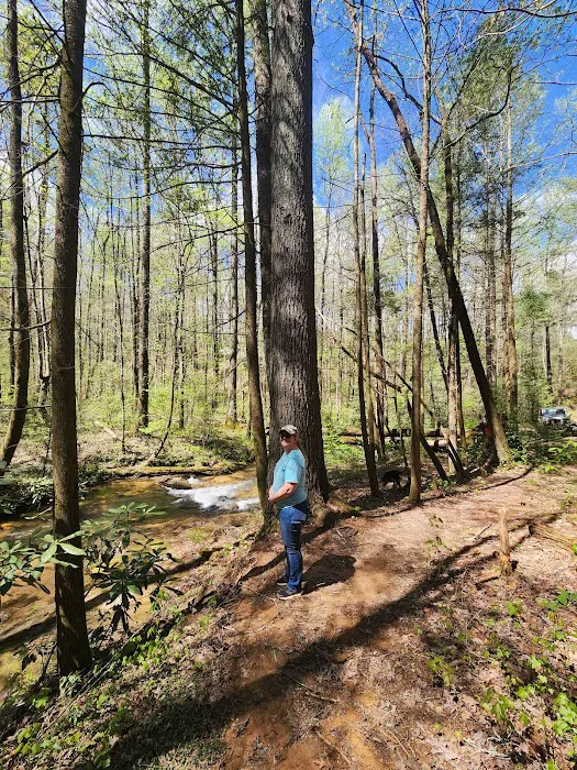 Jones Creek Campground Picture 3