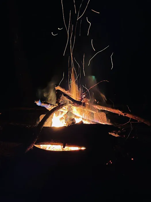 Big Oak Cove Campground Picture 4