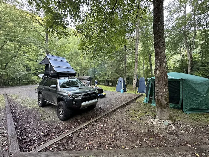 Big Oak Cove Campground Picture 8