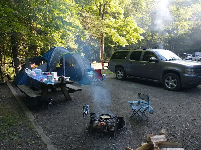 Big Oak Cove Campground Picture 6
