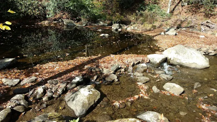 Big Oak Cove Campground Picture 7