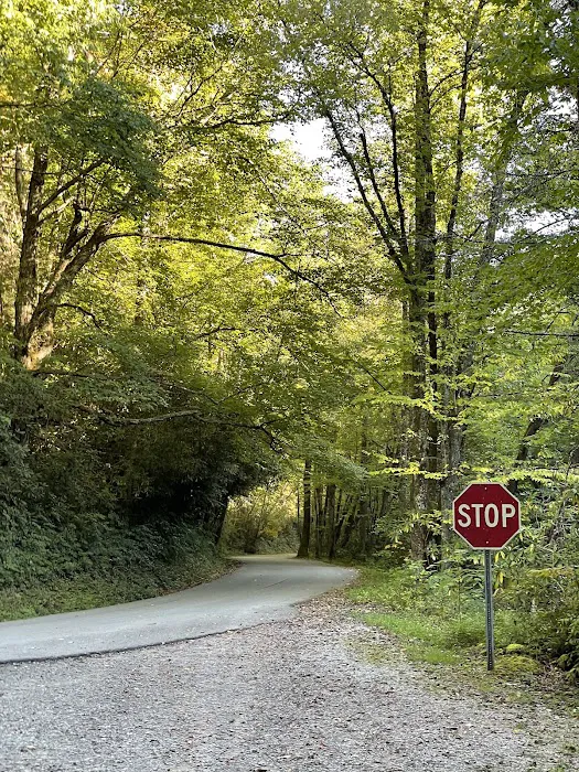 Big Oak Cove Campground Picture 9