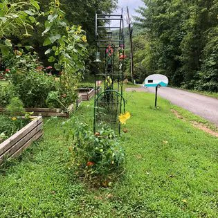 Hippie Hollow Campground Picture 3