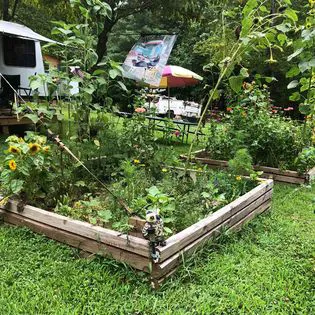 Hippie Hollow Campground Picture 1