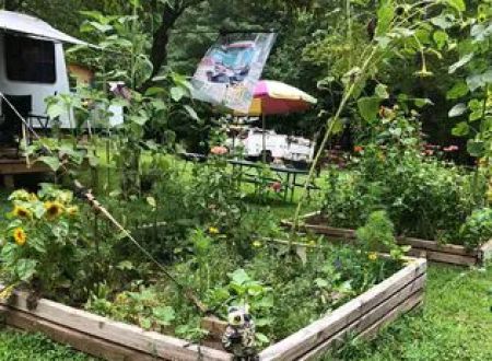 Hippie Hollow Campground