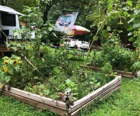 Hippie Hollow Campground