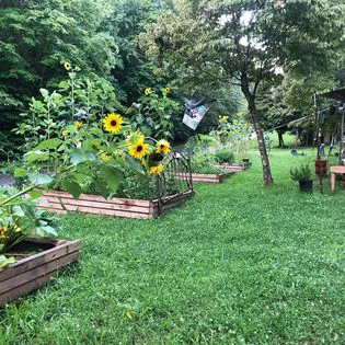 Hippie Hollow Campground Picture 4