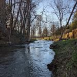 Whispering Pines