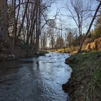 Whispering Pines ico