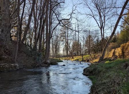 Whispering Pines