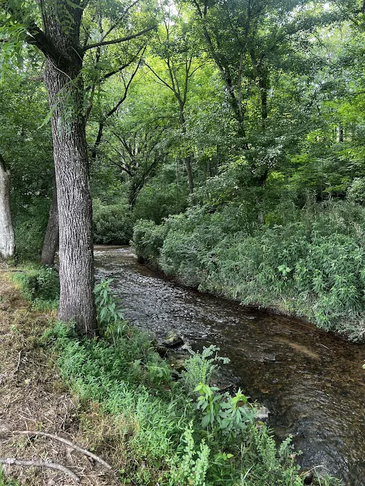 Blue Ridge RV Resort Picture 7