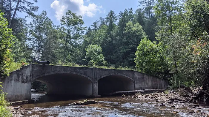 Cooper Creek Recreation Area Picture 2