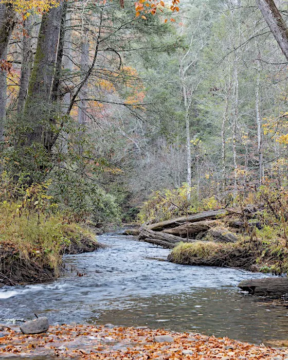 Cooper Creek Recreation Area Picture 1