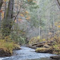 Cooper Creek Recreation Area ico
