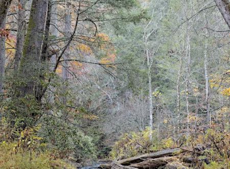 Cooper Creek Recreation Area