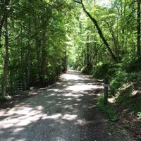 Boo and Bitty’s Campground ico