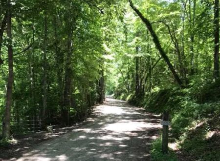 Boo and Bitty’s Campground