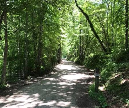 Boo and Bitty’s Campground