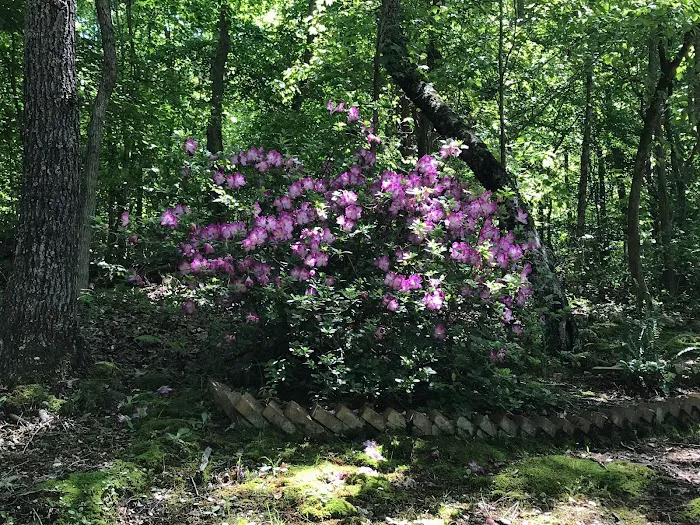 Boo and Bitty’s Campground Picture 5