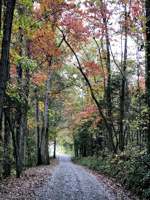 Boo and Bitty’s Campground Picture 7