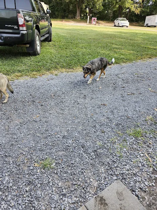Rural Retreat Campground Picture 9