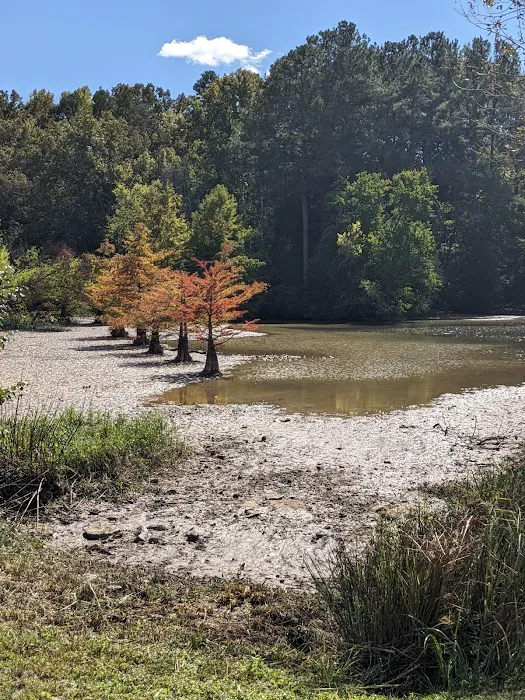 Rural Retreat Campground Picture 10