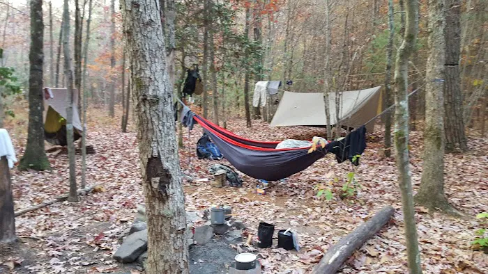 Little Possum North Campsite Picture 1