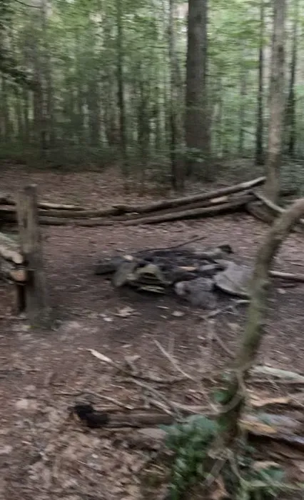 Little Possum North Campsite Picture 4
